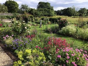 Photo 44- click for photo gallery